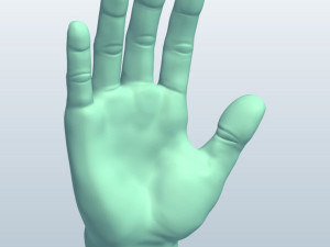 simple hand but very high detailed to be used in vr-ar 3D 모델