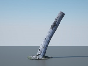 tree trunk - 01 3D Model