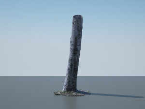 tree trunk - 01 3D Model