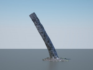 tree trunk - 01 3D Model
