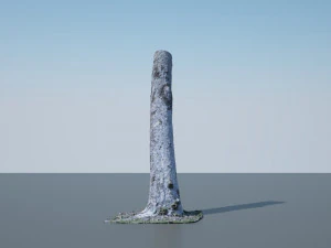 tree trunk - 01 3D Model