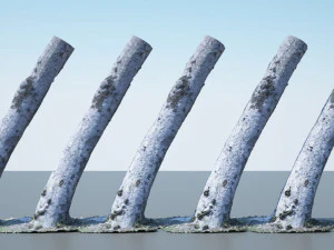 tree trunk - 01 3D Model