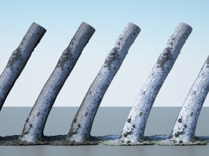 tree trunk - 01 3D Model