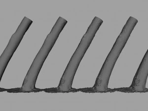 tree trunk - 01 3D Model