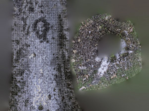 tree trunk - 01 3D Model