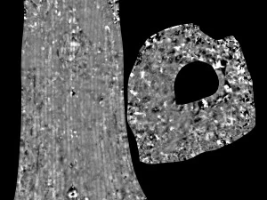 tree trunk - 01 3D Model