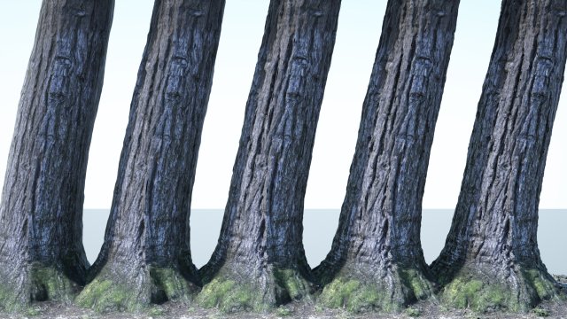 tree trunk - 02 3D Модель .c4d .max .obj .3ds .fbx .stl .blend 