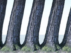 tronco de &aacute;rvore - 02 Modelo 3D