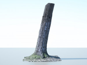 tree trunk - 02 3D Модель