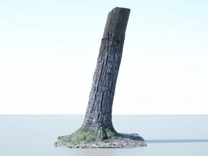 tree trunk - 02 3D Model