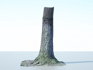 tree trunk - 02 3D Модель