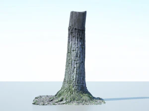 tree trunk - 02 3D Model