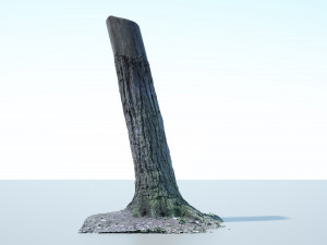 tree trunk - 02 3D Модель