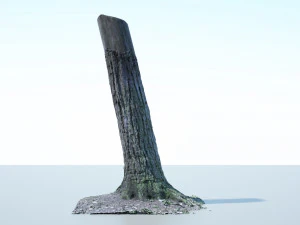 tree trunk - 02 3D Model
