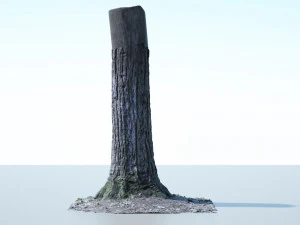 tree trunk - 02 3D Model