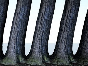 tree trunk - 02 3D Модель