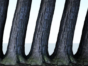 tree trunk - 02 3D Model