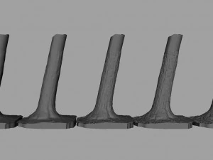 tree trunk - 02 3D Model