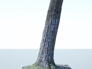 tree trunk - 02 3D Model