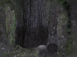 tree trunk - 02 3D Модель