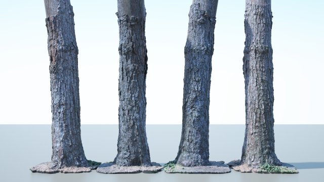 tree trunk - 03 3D Модель .c4d .max .obj .3ds .fbx .stl .blend 