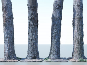 tree trunk - 03 3D Модель
