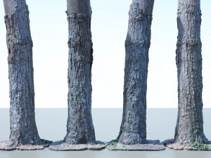 tronco de &aacute;rvore - 03 Modelo 3D