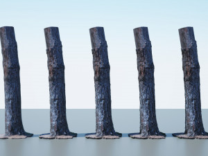 tree trunk - 03 3D Модель