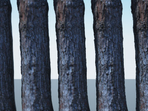 tree trunk - 03 3D Модель