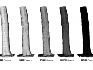 tree trunk - 03 3D Модель