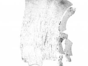 tree trunk - 03 3D Модель