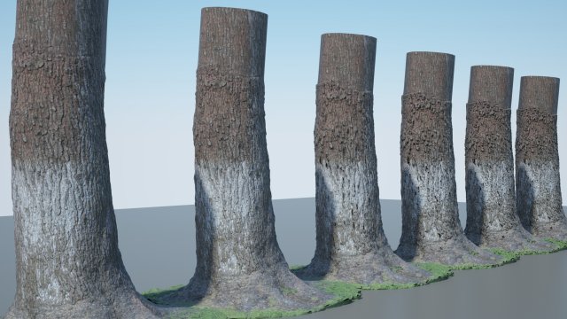 tree trunk - 04 3D Модель .c4d .max .obj .3ds .fbx .stl .blend 