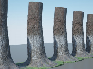 tree trunk - 04 3D Model