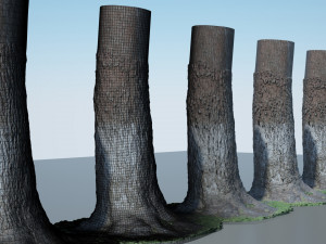 tree trunk - 04 3D Модель