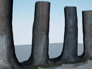 tree trunk - 04 3D Модель