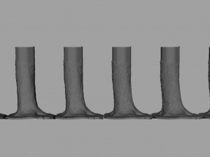 tree trunk - 04 3D Модель