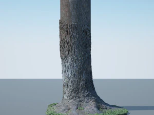 tree trunk - 04 3D Model
