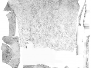 tree trunk - 04 3D Модель