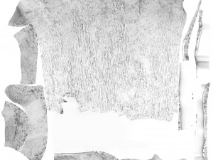 tree trunk - 04 3D Model