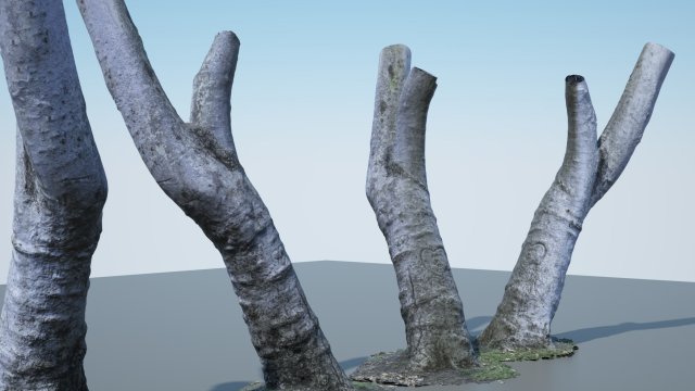 tree trunk - 05 3D Модель .c4d .max .obj .3ds .fbx .stl .blend 