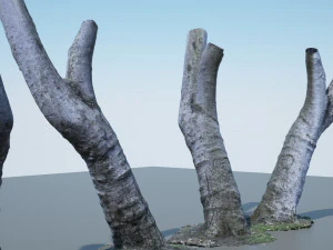 tronco d'albero - 05 Modello 3D