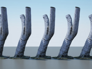 tree trunk - 05 3D Модель
