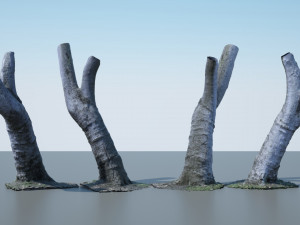 tree trunk - 05 3D Модель