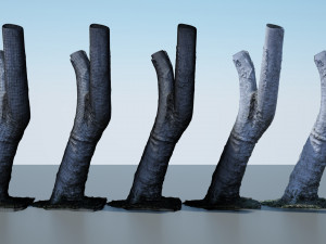 tree trunk - 05 3D Модель