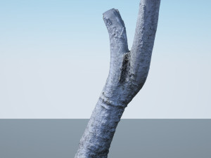 tree trunk - 05 3D Модель