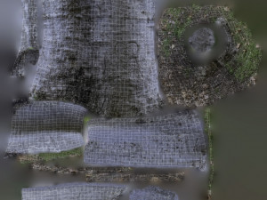 tree trunk - 05 3D Модель