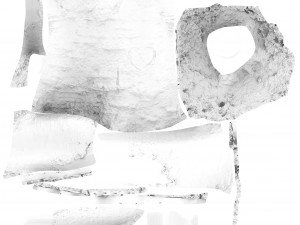 tree trunk - 05 3D Модель