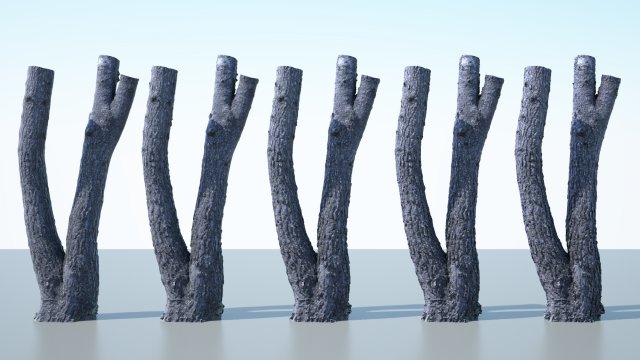 tree trunk - 06 3D Модель .c4d .max .obj .3ds .fbx .stl .blend 