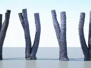 tree trunk - 06 3D Модель