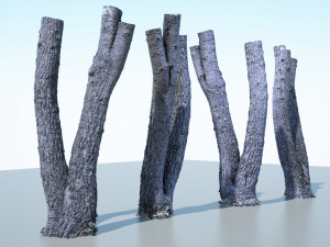 tree trunk - 06 3D Модель